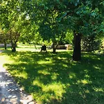 Aligvar Vendeghaz Vakantiehuis