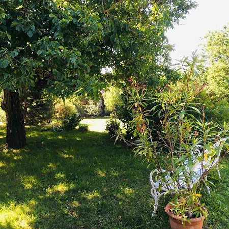 Holiday home Aligvar Vendeghaz Salfold