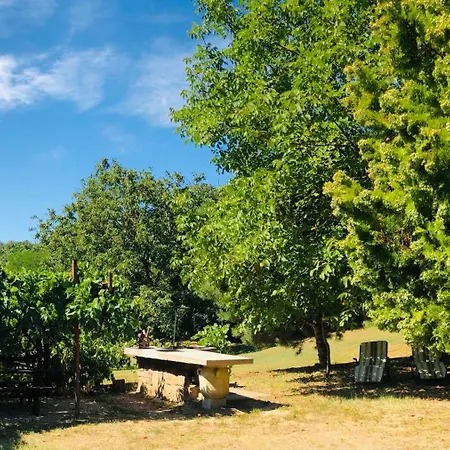 Holiday home Aligvar Vendeghaz