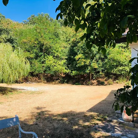 Aligvar Vendeghaz Holiday home Salfold