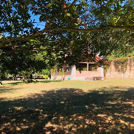 Aligvar Vendeghaz Salfold