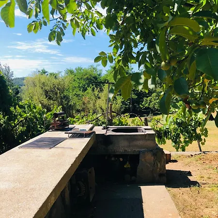 Holiday home Aligvar Vendeghaz Salfold