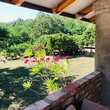 Holiday home Aligvar Vendeghaz