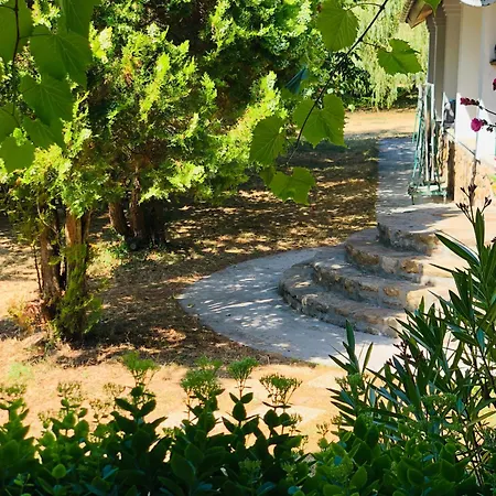 Aligvar Vendeghaz Holiday home *