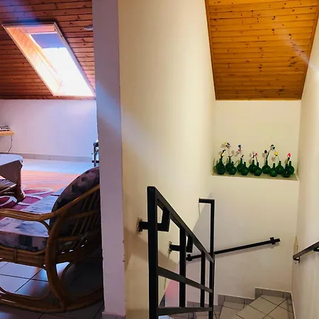 Aligvar Vendeghaz Holiday home Salfold