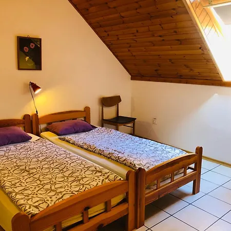 Aligvar Vendeghaz Holiday home
