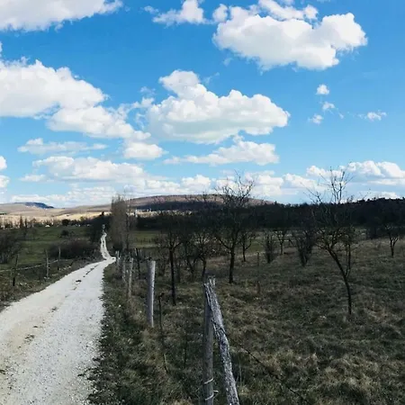 Aligvar Vendeghaz Дом отдыха *