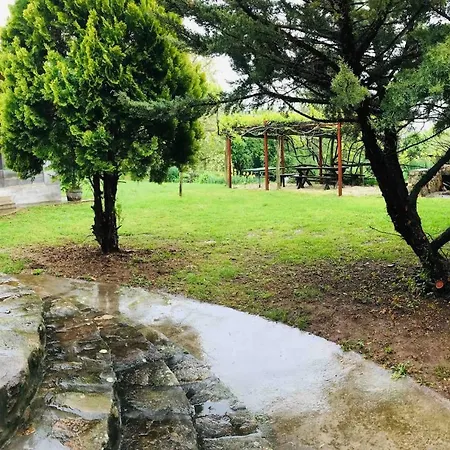 Aligvar Vendeghaz Holiday home Salfold
